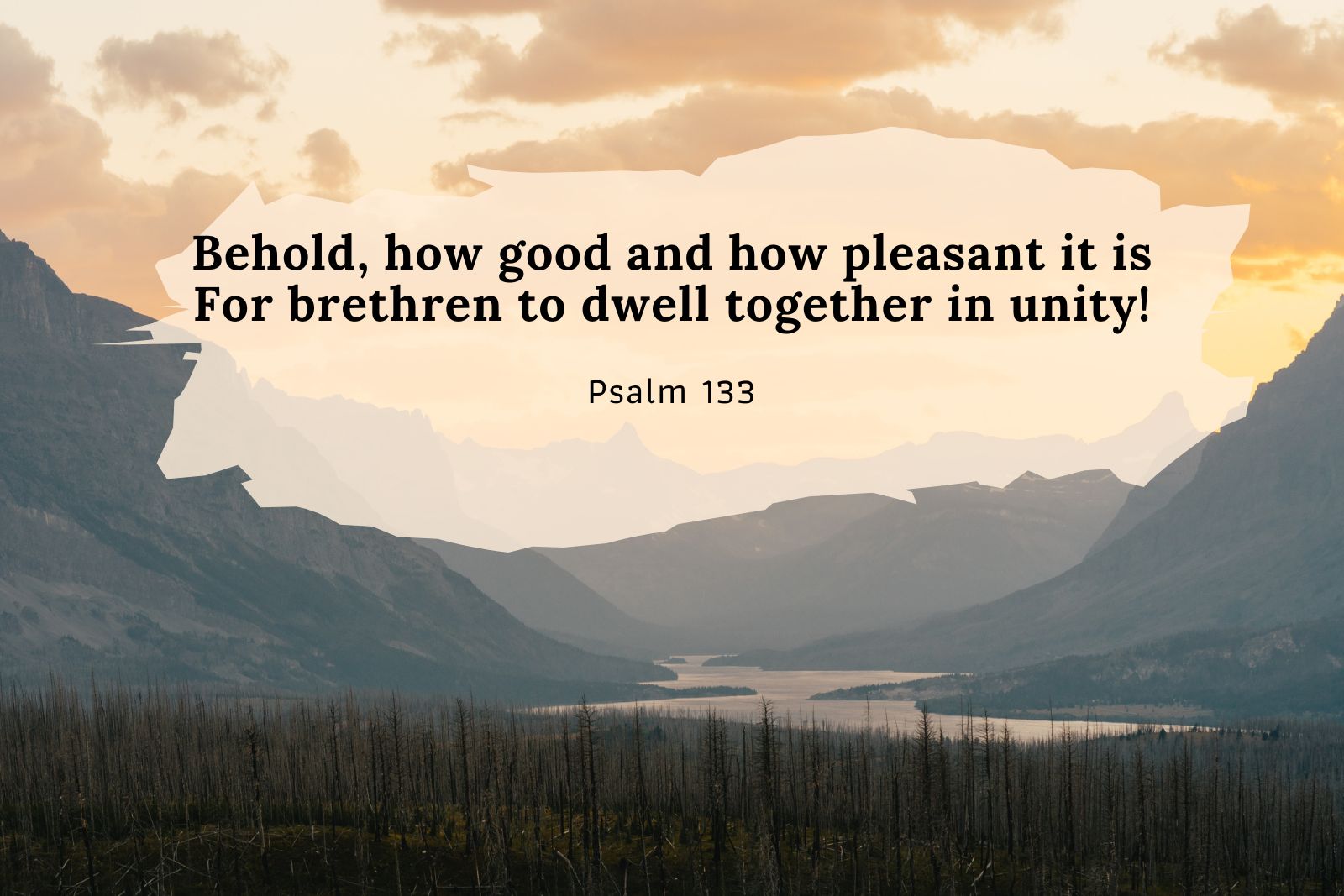 Blessed Unity | Psalm 133