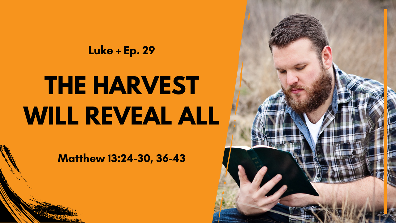 The Harvest Will Reveal All: The Wheat and the Tares | Matthew 13:24–30, 36–43
