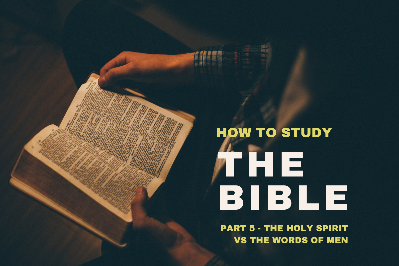 Person reading an open Bible in dim light, with bold study text overlay: 'HOW TO STUDY THE BIBLE'.