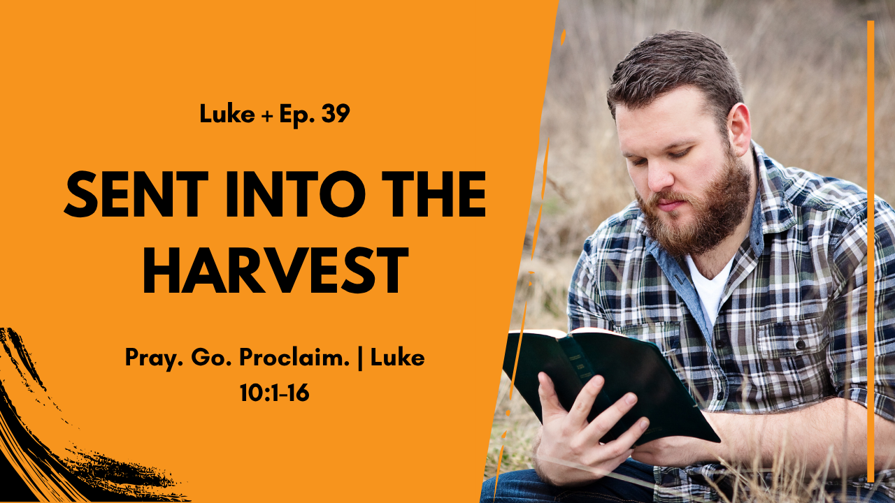Podcast cover showing orange design with the title 'Luke + Ep. 39 Sent Into the Harvest' and subtitle 'Pray. Go. Proclaim. Luke 10:1-16'; on the right, a bearded man in a plaid shirt reads a book outdoors.
